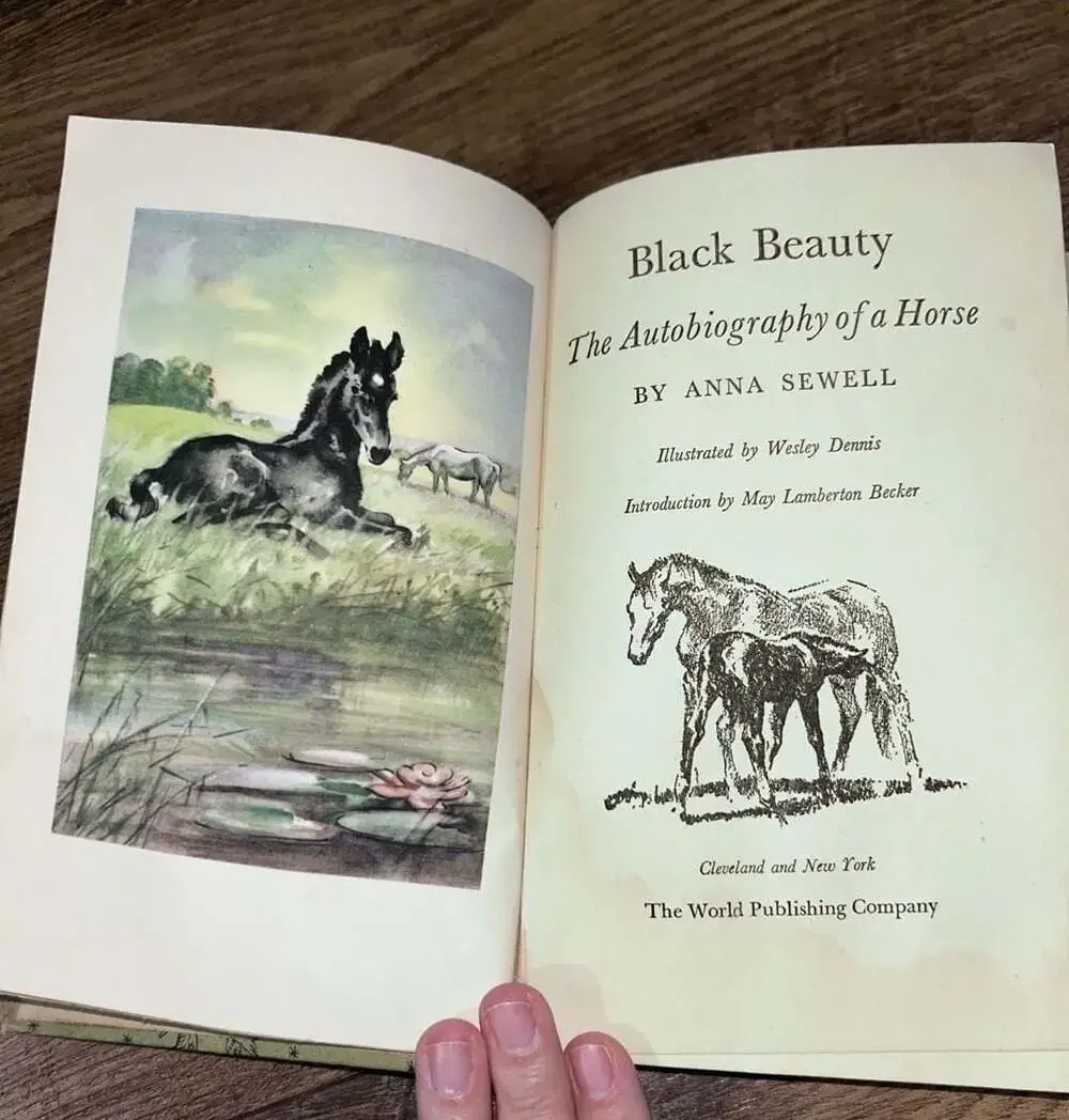 Black Beauty by Anna Sewell The World Publishing Company Vintage Hardcover
